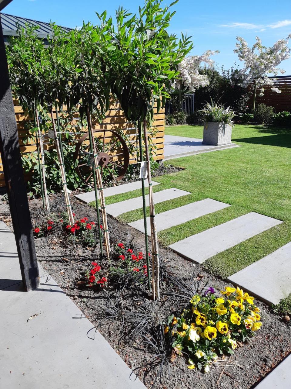 Maples On Harewood Bed and Breakfast Christchurch Eksteriør billede