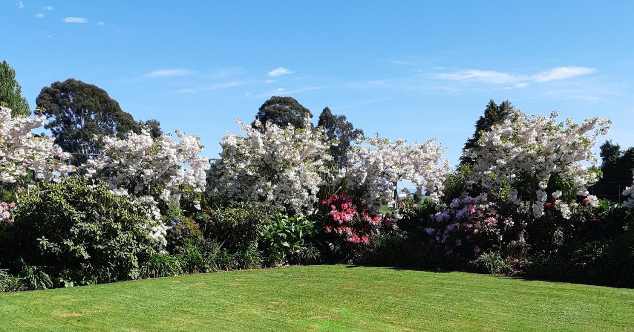 Maples On Harewood Bed and Breakfast Christchurch Eksteriør billede