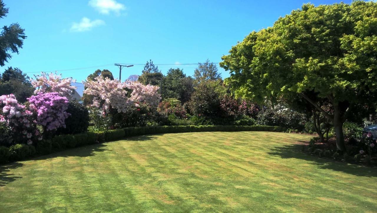 Maples On Harewood Bed and Breakfast Christchurch Eksteriør billede